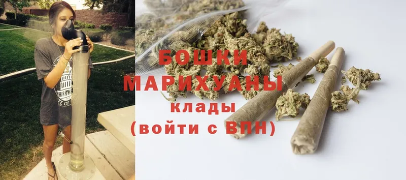 Каннабис White Widow  Гаджиево 